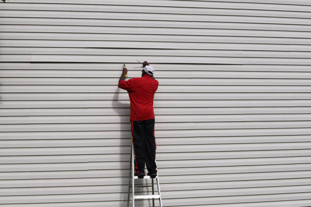 Best Fiber Cement Siding Installation  in Houghton, MI