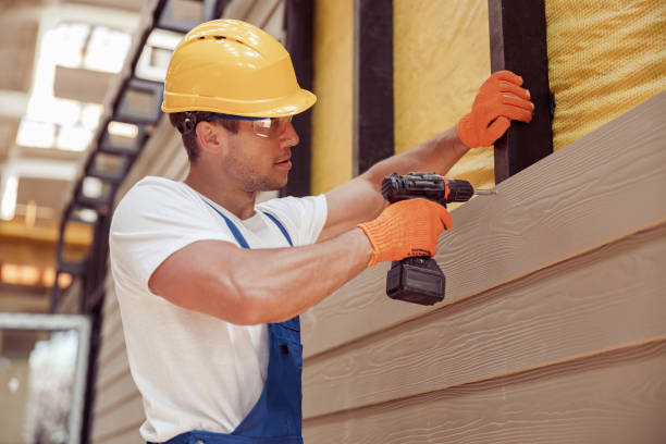 Best Insulated Siding Installation  in Houghton, MI