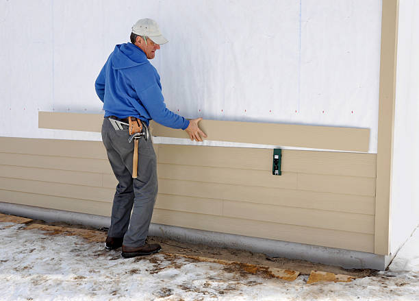 Best Aluminum Siding Installation  in Houghton, MI